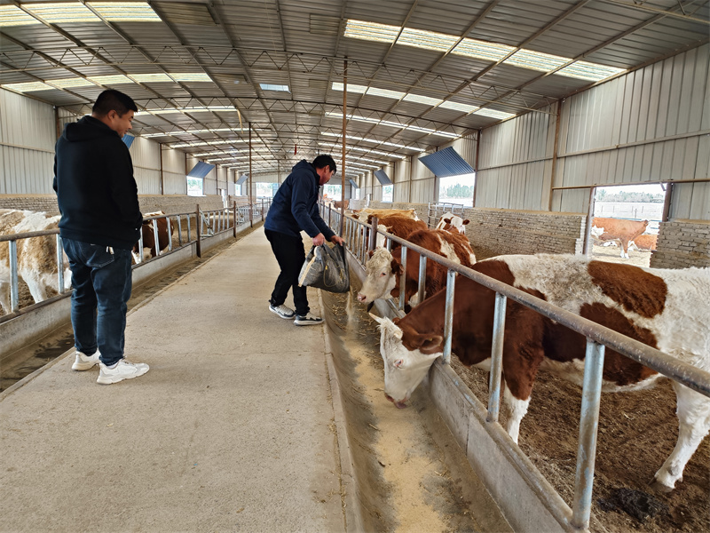 1684975831271617.jpg 1.jpg