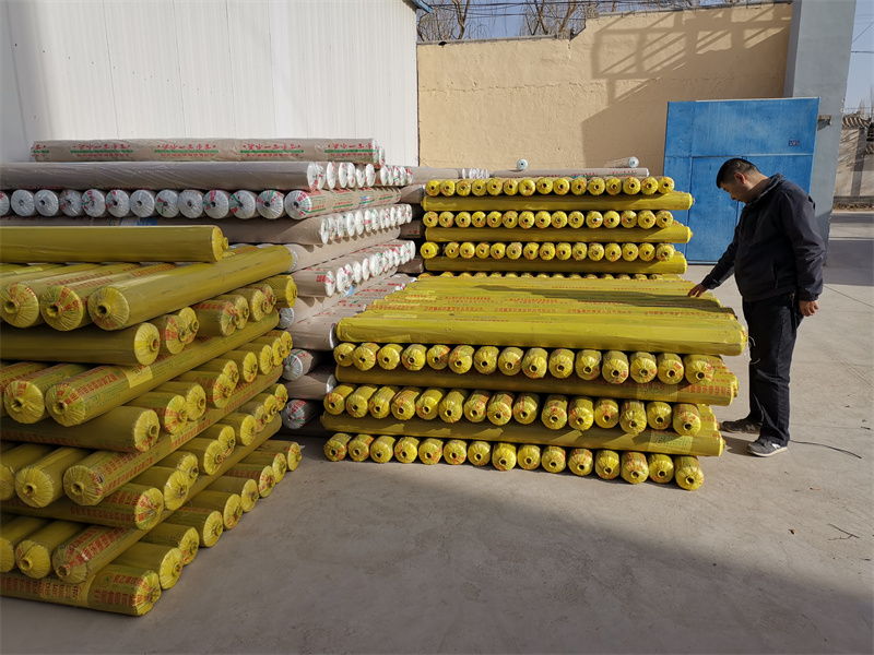 1685407212641143.jpg IMG_20230329_100106.jpg