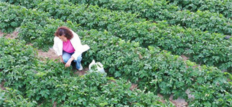1-230G9112215N6.jpg