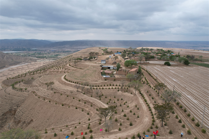 1690960572823170.jpg DJI_0187.JPG