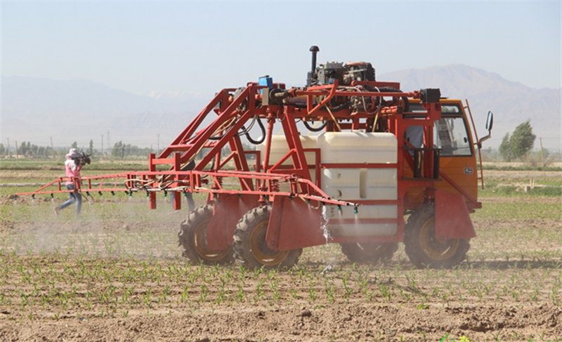 1-230R1164233S3.jpg