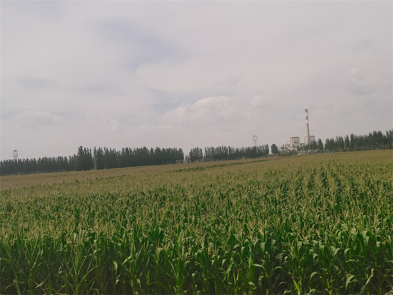 ΢��ͼƬ_20230804151202.jpg