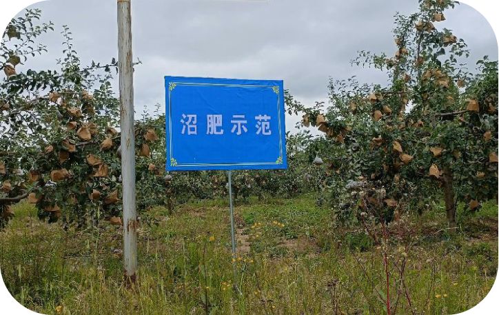 ͼƬ11.png
