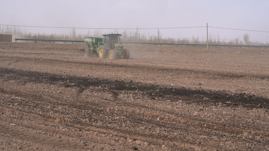 C2140T01.JPG