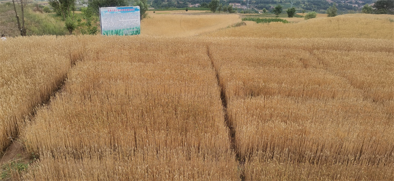 ΢��ͼƬ_20230902210801.jpg