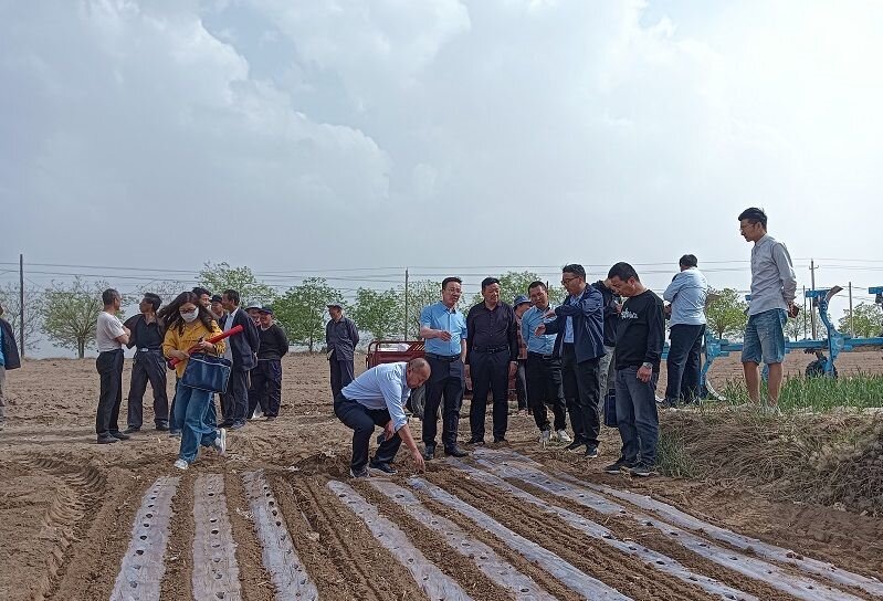 1716536860377622.jpg 1-240429132451935.jpg