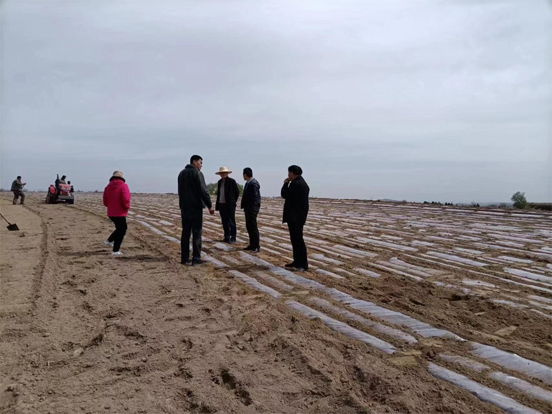 1716536870365465.jpg 2022042110433183399.jpg