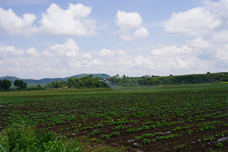 DSC03346.JPG