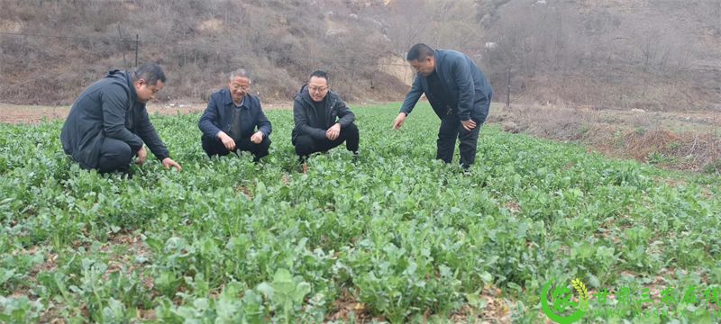 1719815994778457.jpg 1-24032H33II46.jpg