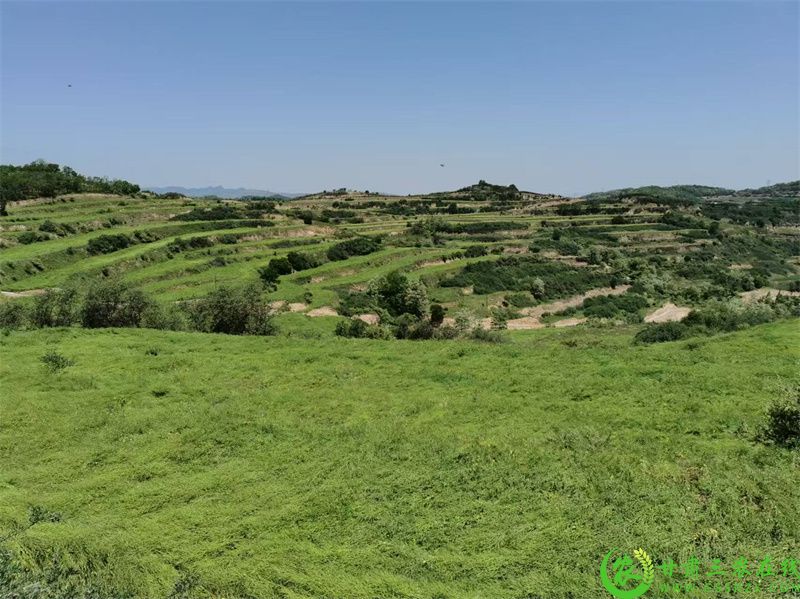 1719816009528745.jpg 1-240522093004245.jpg