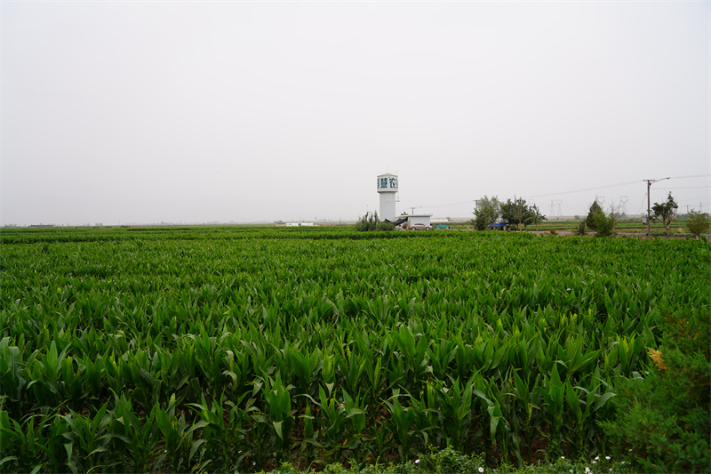 DSC03694.JPG