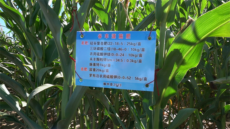 C0782T01.jpg