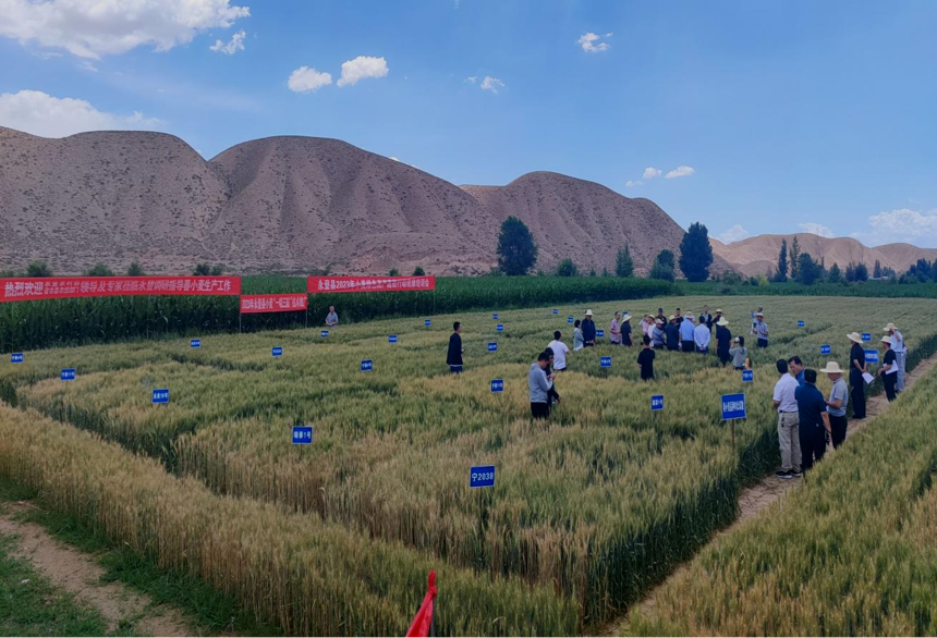 1724123471279253.png 图片3.png