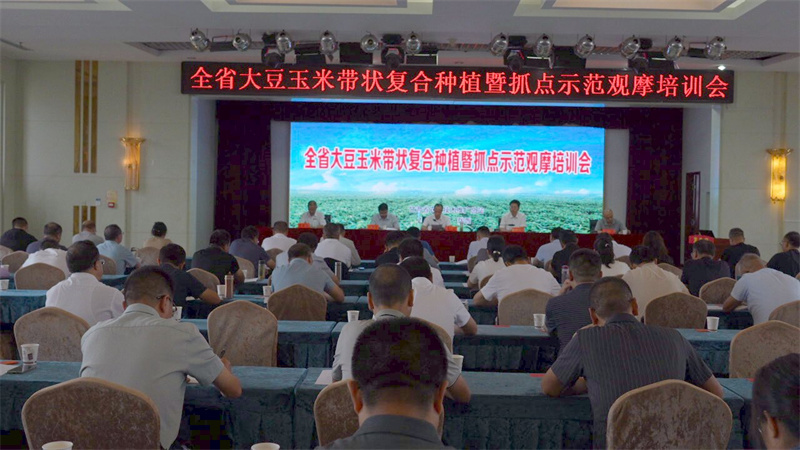 C4046T01.JPG