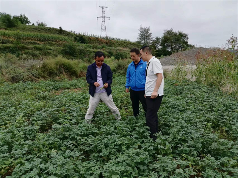 1726038576879606.jpg 218.jpg