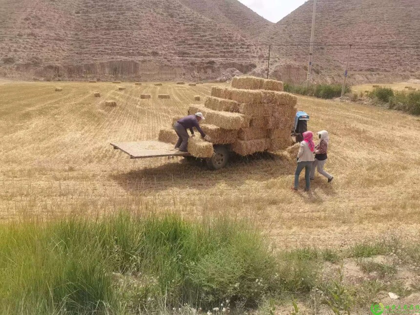 1729842339904083.jpg 1-2410111F24M09.jpg