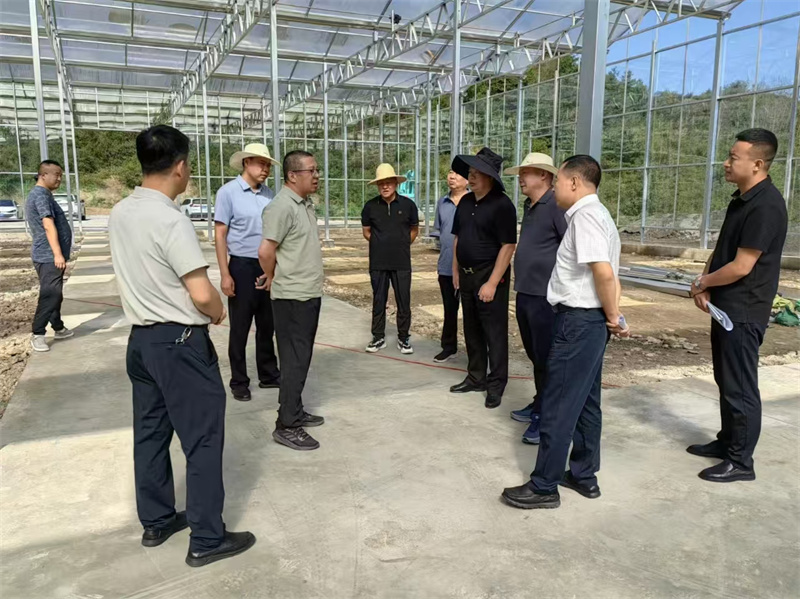 1729844177402152.jpg 269 (1).jpg