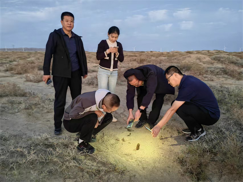 1729844230671303.jpg 269 (2).jpg