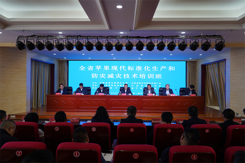 1730949952349859.jpg DSC01844.JPG