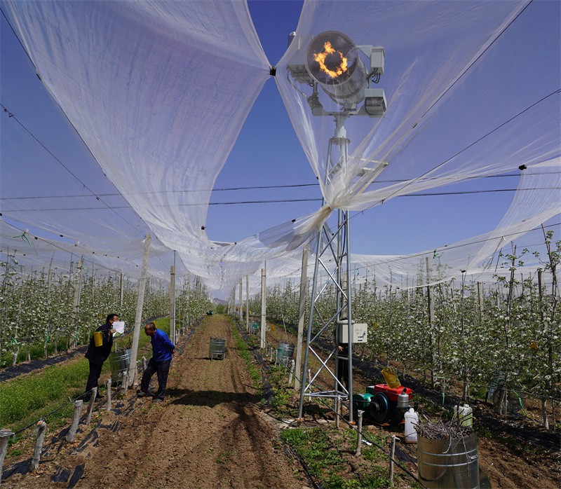 1730949988171418.jpg DSC01757.JPG