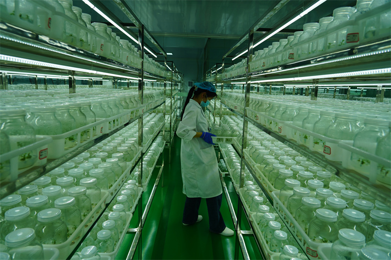 1730950212928430.jpg DSC01716.JPG