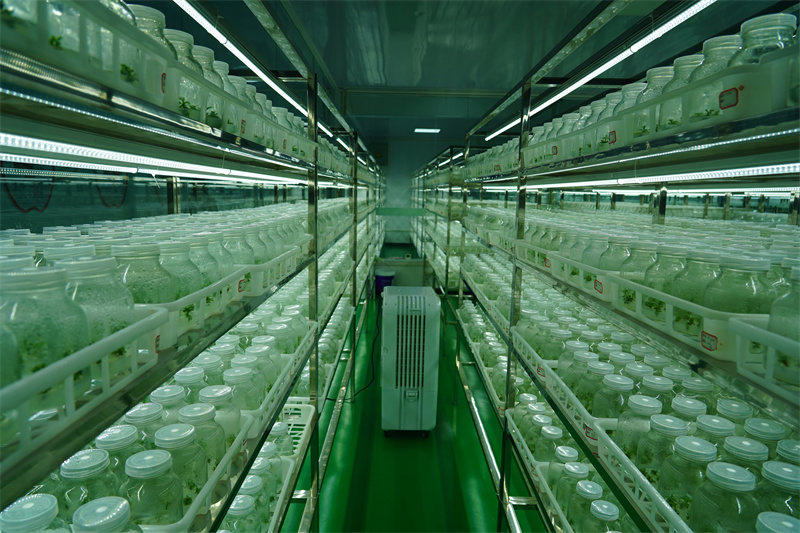 1730950237744139.jpg DSC01714.JPG