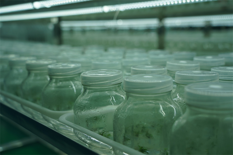 1730950255106084.jpg DSC01709.JPG