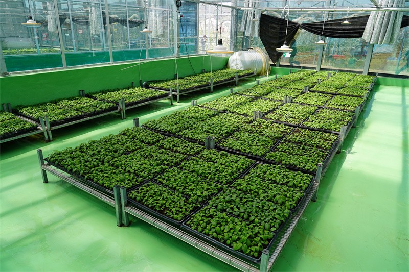 1730950266557804.jpg DSC01736.JPG