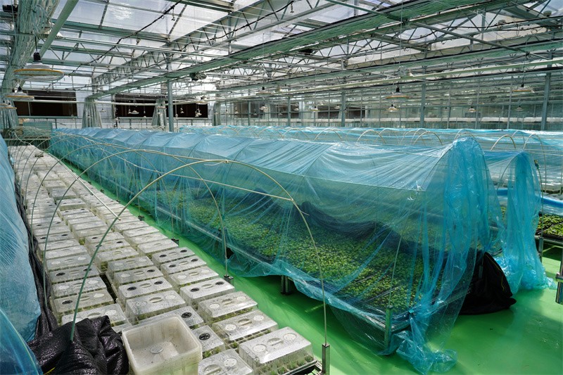 1730950293556702.jpg DSC01738.JPG