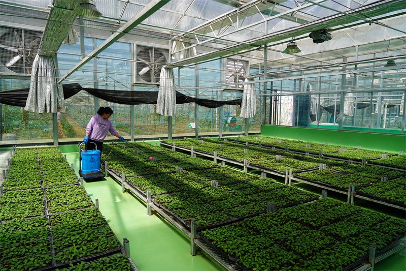 1730950305647012.jpg DSC01727.JPG