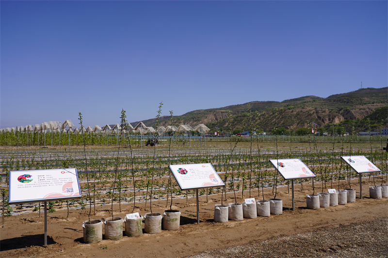 1730950318910723.jpg DSC01742.JPG