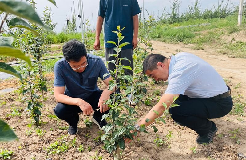 1730951803103161.jpg 1-24012111020Lb.jpg