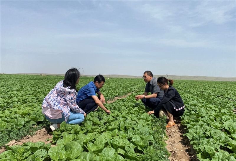 1730951814429479.jpg 1-240121110223P7.jpg