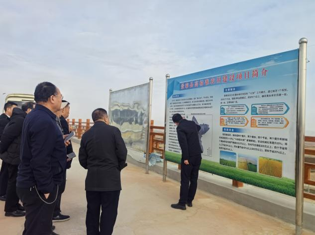 1731895716665500.png 图片10.png