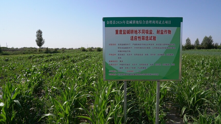 C2884T01.JPG