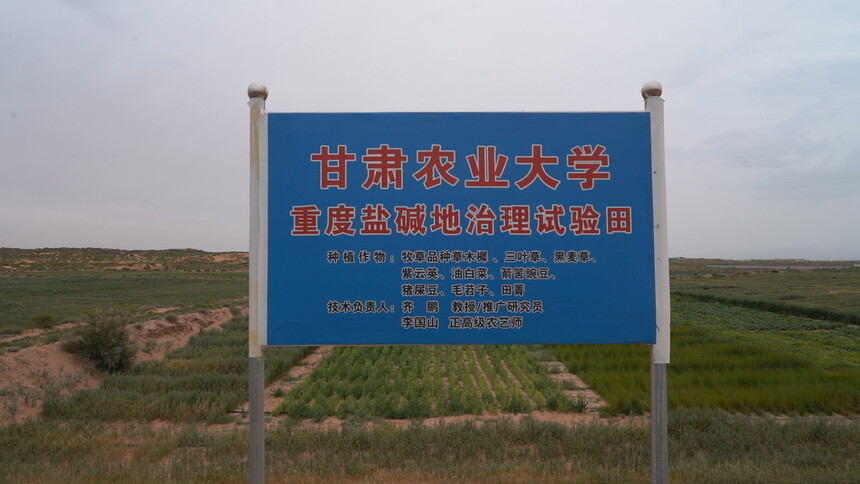 C3720T01.JPG