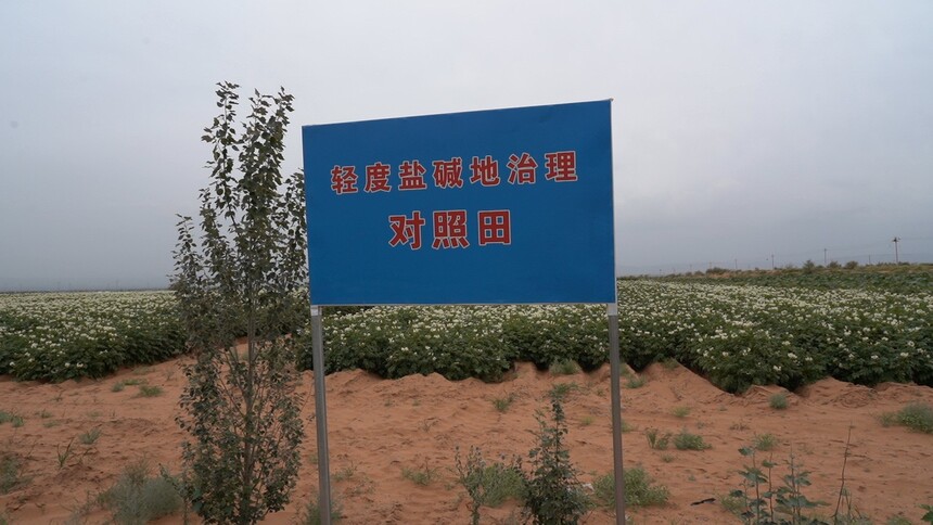C3659T01.JPG
