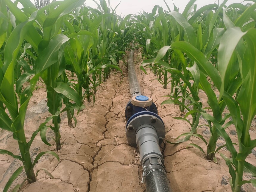 1732265982542925.jpg IMG_20240605_161419.jpg