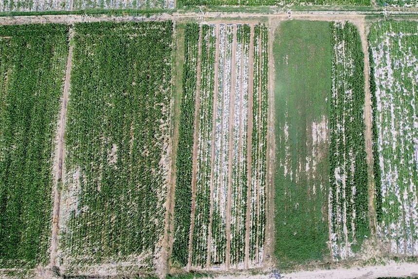 dji1719764058388.jpg