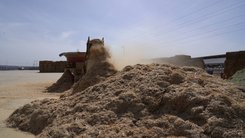 1732614514282280.jpg C2208T01.JPG