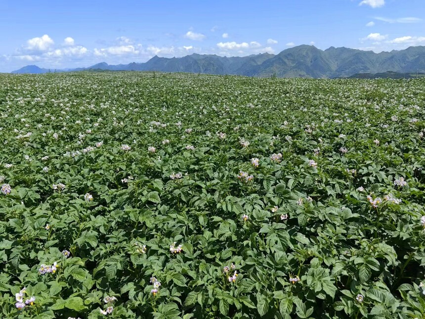 1732757228822792.jpg 微信图片_20240805214443.jpg