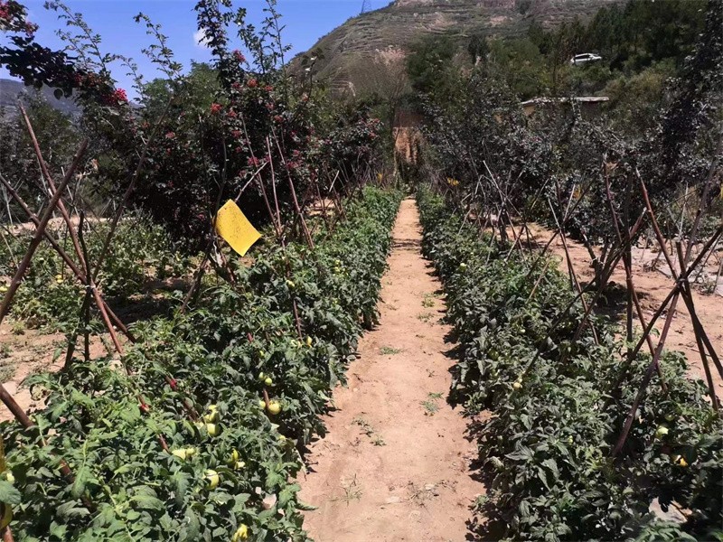 ΢��ͼƬ_202307231052101.jpg