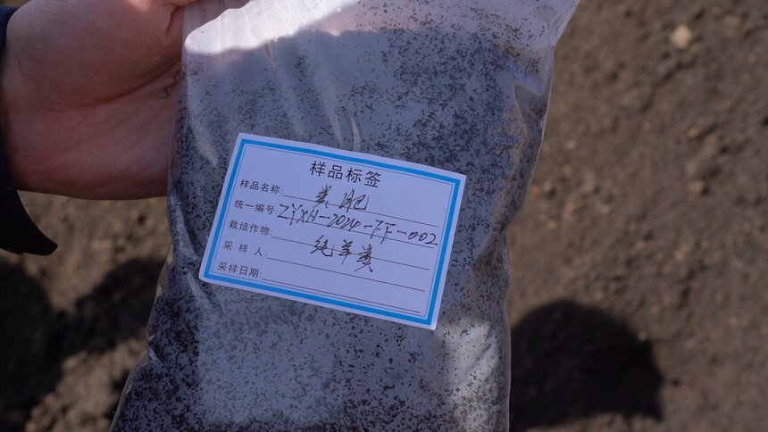C2376T01.JPG