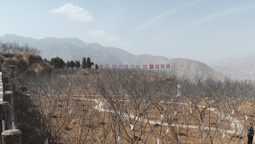 C7682T01.JPG