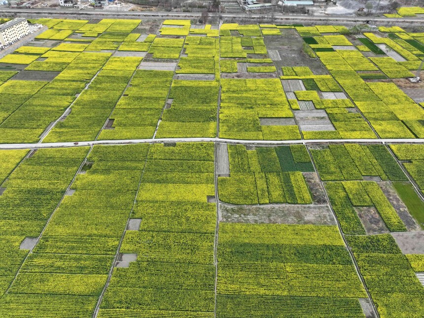 DJI_20250328120101_0159_D(1).jpg