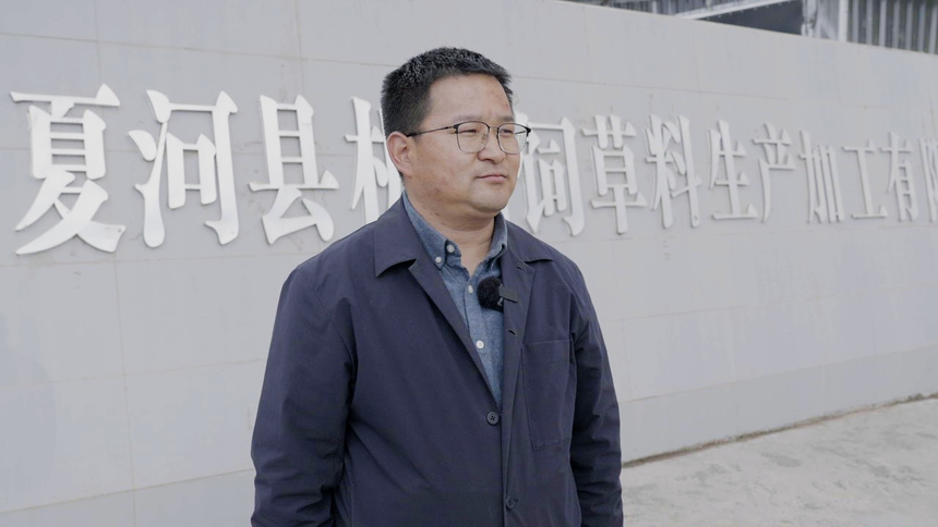 C8817T01(1).png