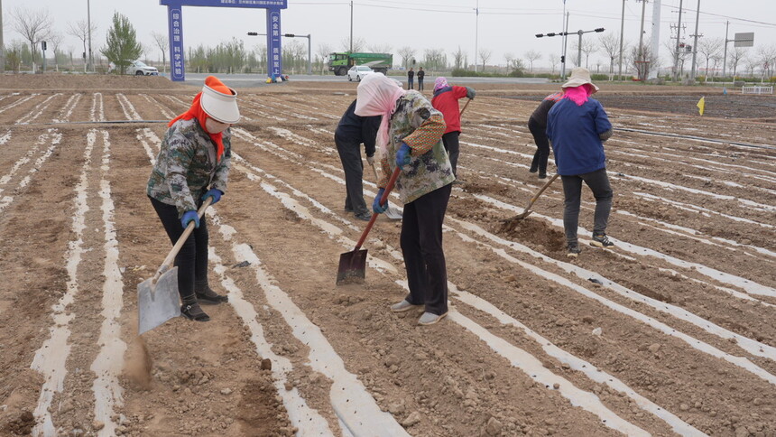C8845T01.JPG