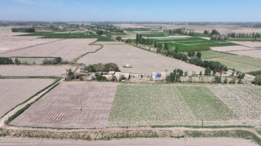 ΢��ͼƬ_20250519120331(1).png