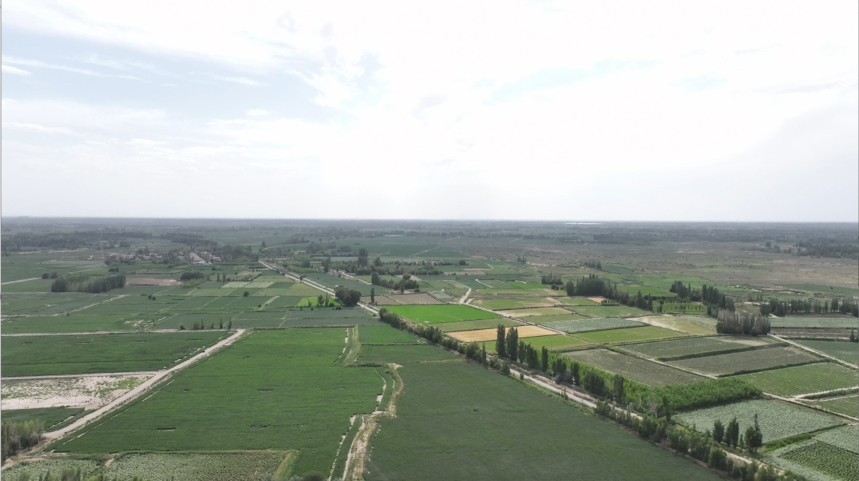 ΢��ͼƬ_20250719143954.png