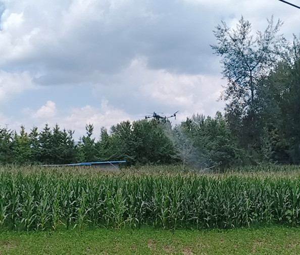 ΢��ͼƬ_20250729094017.jpg